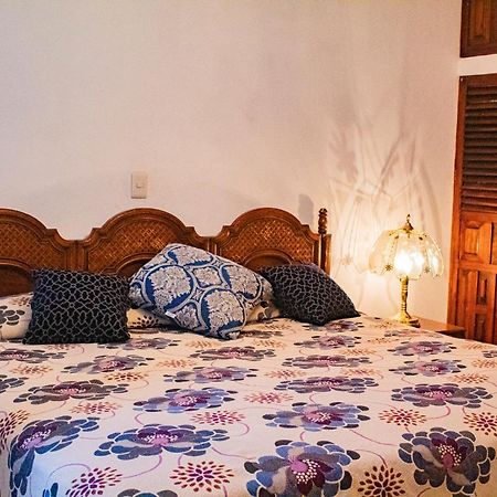 Villa Flores, Casa En El Centro De Mascota Zewnętrze zdjęcie