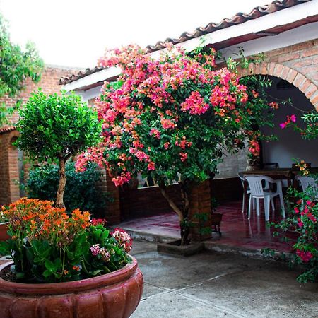 Villa Flores, Casa En El Centro De Mascota Zewnętrze zdjęcie