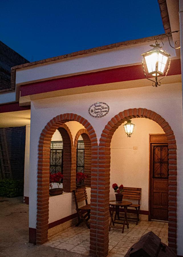 Villa Flores, Casa En El Centro De Mascota Zewnętrze zdjęcie
