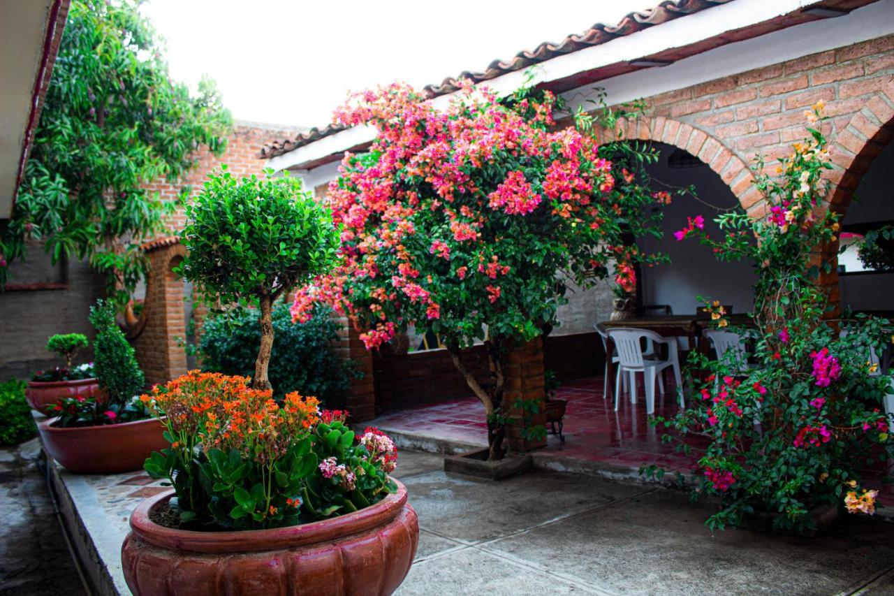 Villa Flores, Casa En El Centro De Mascota Zewnętrze zdjęcie